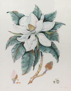 Mitra Dan 1900,Magnolia,Burchard US 2015-10-18