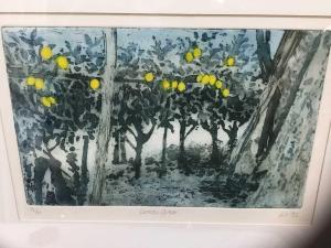 MO 1935,lemon grove,1992,Reeman Dansie GB 2021-08-15
