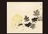 MOCHIZUKI Harue,Chrysanthemum,Mainichi Auction JP 2008-09-13
