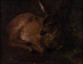MODROVICH Gabor 1870,Roe Deer,Pinter HU 2022-01-16