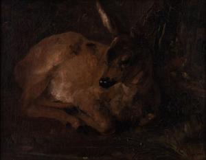 MODROVICH Gabor 1870,Roe Deer,Pinter HU 2021-10-26