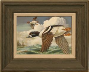 MOGUS JOHN 1900-2000,Barrow's Goldeneye,1993,Dargate Auction Gallery US 2009-08-07