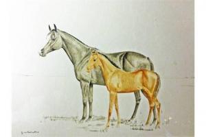 MOLINA PICO JUAN,Horse and foal,The Cotswold Auction Company GB 2015-02-13