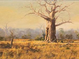 MOLLER Charl 1900-1900,Baobab Landscape,5th Avenue Auctioneers ZA 2016-02-21