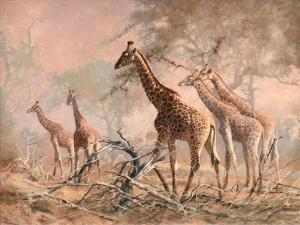 MOLLER Kobus 1949,A Tower of Giraffes,Simpson Galleries US 2022-02-12