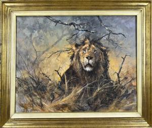 MOLLER Kobus 1949,Male lion,Twents Veilinghuis NL 2024-01-11