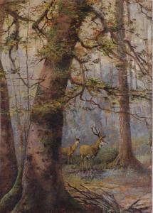 MONACHON John 1800-1800,Cerfs dans les bois,Dogny Auction CH 2012-11-27