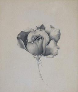 MONDOR Henri 1885-1962," rose ".,De Maigret FR 2007-06-21