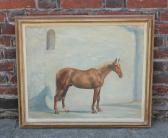 MONEY Keith 1935,chestnut horse,Henry Adams GB 2023-06-22