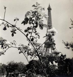 MONIER Albert,Tour Eiffel et des rosiers, 7ème arrondissement, P,1950,Yann Le Mouel 2022-12-14