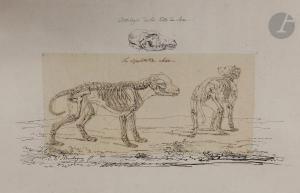 MONTAGNY Elie Honoré 1782-1864,Études de chevaux écorchés d\’après des gravures a,Ader FR 2021-06-11