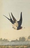 MONTAGU George 1751-1815,Ornithological Dictionary of British Birds,Christie's GB 2015-05-27