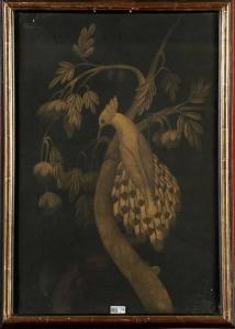 montald gabrielle 1866-1952,Oiseau fantastique sur une branche,VanDerKindere BE 2012-12-04