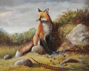 MONTGOMERY Drew,STUDY OF A FOX,Ross's Auctioneers and values IE 2016-06-22