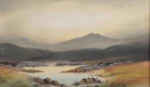 MONTI J,Landscape,Morgan O'Driscoll IE 2013-03-25