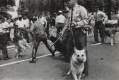 MOORE CHARLES 1931-2010,Dogs used by Birmingham, Ala. Cops to q,1963,Phillips, De Pury & Luxembourg 2019-04-04