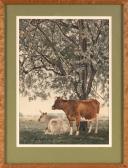 MOORE Edwin 1813-1893,Two cows,Eldred's US 2022-10-06