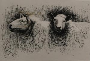 MOORE Henry 1898-1986,Sheep Heads,Tennant's GB 2017-05-26