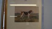 MOORE R.H 1800-1800,A fox hound,Stride and Son GB 2016-06-24