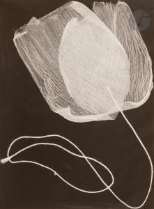 MORAL Jean 1906-1999,Photogramme [ficelle et tissu],1925-1930,Ader FR 2023-11-09