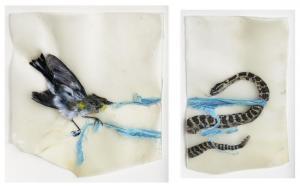 MORALES Rebecca 1962,Nesting Material (blue cloth) (Diptych),2000,Santa Monica US 2018-10-07