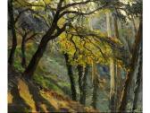 MORENO Raphael,Les grands arbres.,Blache FR 2009-04-27