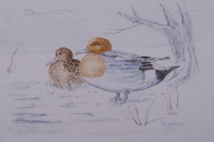 MORGAN James Leslie 1957,wigeon ducks,1990,Crow's Auction Gallery GB 2017-06-07