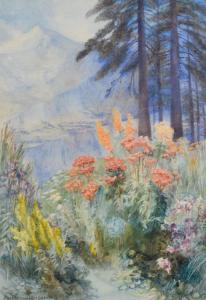 MORGAN Mary Vernon 1871-1927,Alpine landscape with pine trees and wild flowe,1915,Rogers Jones & Co 2017-03-03