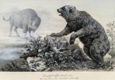 MORIN Adolphe 1841-1880,Konvolut: 6 Stk. Tierdarstellungen,im Kinsky Auktionshaus AT 2012-12-11