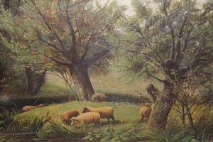 MORRIS J D,sheep grazing by a river in a wooded la,20th Century,Lawrences of Bletchingley 2020-10-23