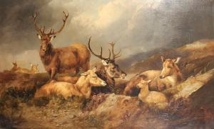 MORRIS John Charles,A Herd of Deer in a Mountainous Landscape,1863,John Nicholson 2019-09-04