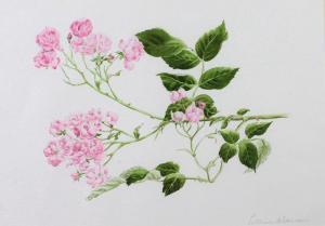 Morrison Patricia,Studies of flowers and branches,Fonsie Mealy Auctioneers IE 2018-10-10