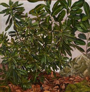Moss Philip 1961,FOREST SCENE WITH RHODODENDRON LEAVES,Whyte's IE 2021-12-13