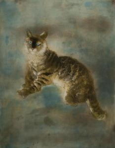 MOTI Kaiko 1921-1989,Cat,Abell A.N. US 2024-04-04