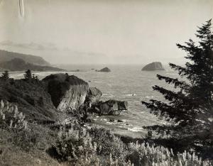 MOULIN Gabriel 1872-1945,Redwood Empire, Californie,1933,Yann Le Mouel FR 2023-01-21