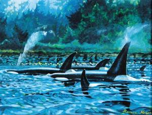 MUIR Bruce 1953,Untitled - Orca Whale Family,Levis CA 2010-10-03