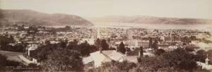 MUIR # MOODIE 1800-1900,A Dunedin,1901,Webb's NZ 2007-05-31