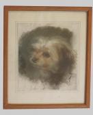 MURATON Euphemie,nee Duhanot 1840-1914,Portrait de chien,Rouillac FR 2013-02-05