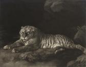 murphy john 1700-1800,A Tigress,Christie's GB 2008-03-12