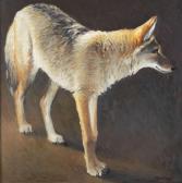 Murray Richard 1948,Coyote,Jackson Hole US 2023-09-16