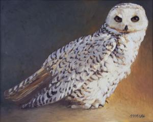 Murray Richard 1948,Snowy Owl,Jackson Hole US 2023-09-16
