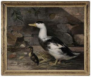 MUSITANO Papini 1800-1800,Duck and Chick,1895,Brunk Auctions US 2016-05-12