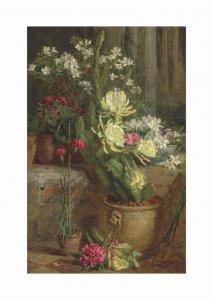 MUTRIE Annie Feray 1826-1893,The flowering cactus,Christie's GB 2017-07-11