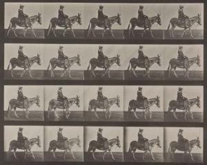 MUYBRIDGE Eadweard 1830-1904,«Animal Locomotion»,1887,Yann Le Mouel FR 2012-11-09