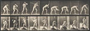 MUYBRIDGE Eadweard 1830-1904,"Animal Locomotion.",Swann Galleries US 2015-02-19
