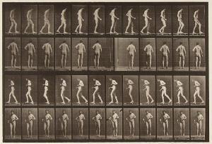 MUYBRIDGE Eadweard 1830-1904,Nude Man with Lateral Sclerosis Walking,1887,Dreweatts GB 2014-06-06