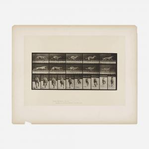 MUYBRIDGE Eadweard 1830-1904,Plate 708 (from the Animal Locomotion,1887,Los Angeles Modern Auctions 2024-03-08