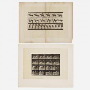 MUYBRIDGE Eadweard 1830-1904,Plates 580 and 684 (from the Animal L,1887,Los Angeles Modern Auctions 2024-03-08