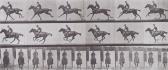 MUYBRIDGE Eadweard 1830-1904,Selected images from Animal Locomotion,1887,Sotheby's GB 2002-11-11