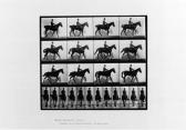 MUYBRIDGE Eadweard 1830-1904,Selected Motion Studies,Christie's GB 2000-04-05